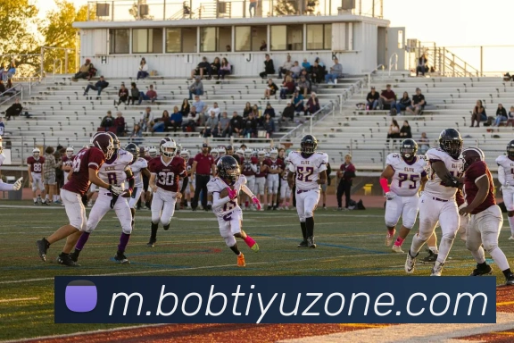 BOB体育发展历程